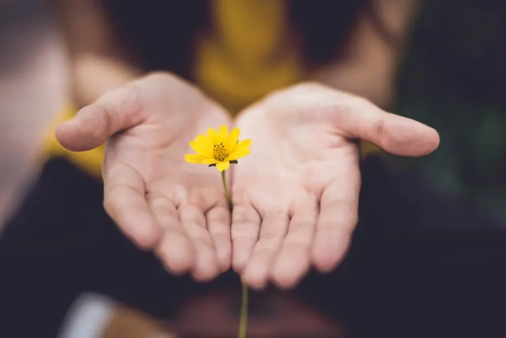 Hands gently holding a small yellow flower